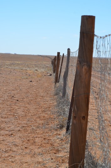 Dog-Fence-5300-km-lang