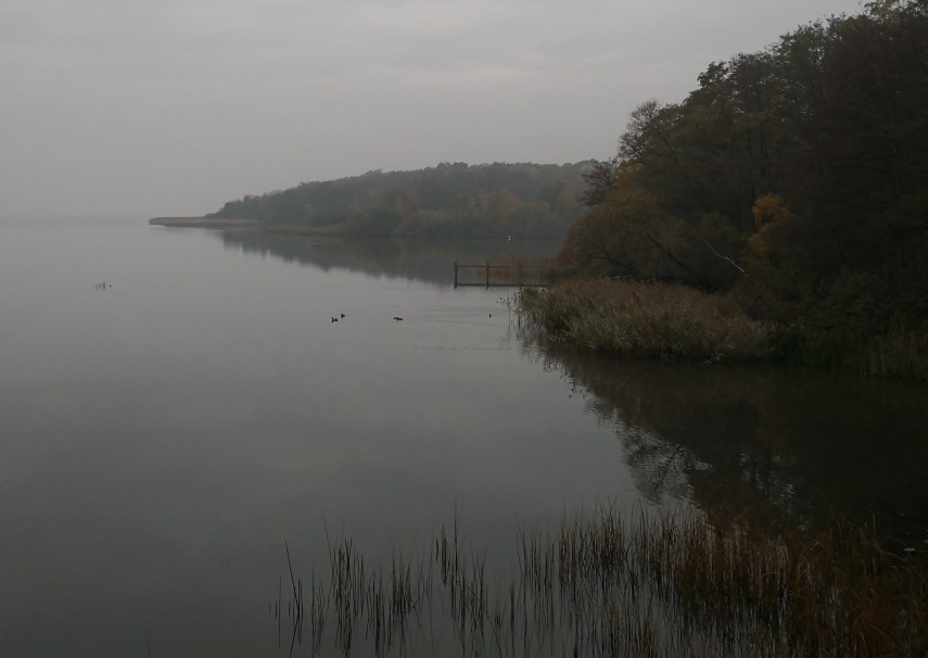 Lake Steinhude near Neustadt